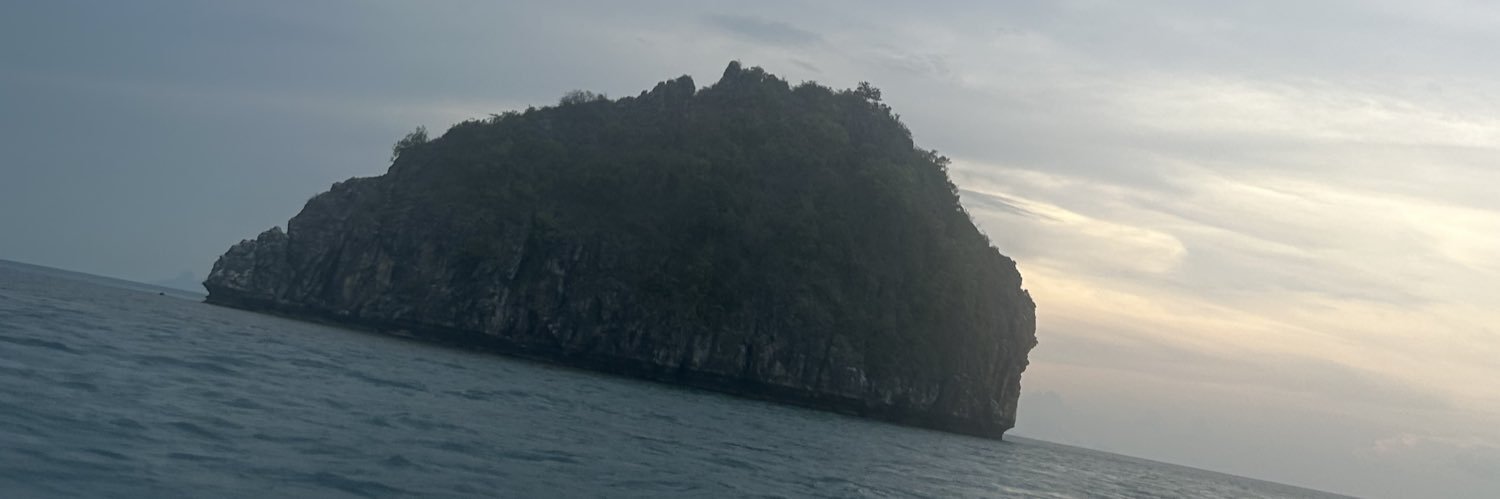 scaraMOUCHE🎼 banner