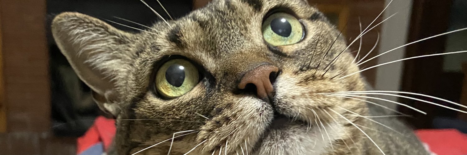 Lauramj22's profile banner image