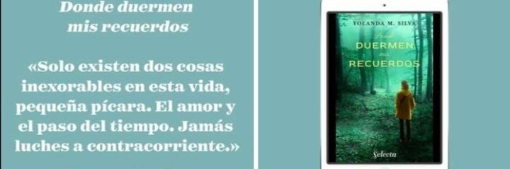 Yolanda M. Silva banner