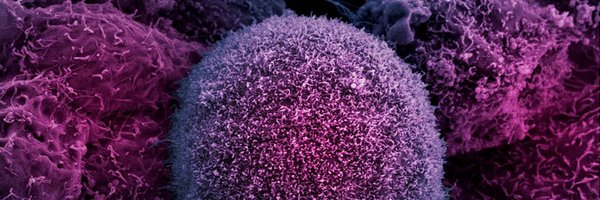 interoncologist Profile Banner