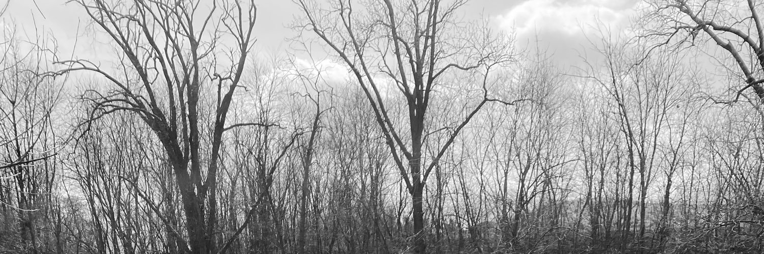 KllSlasher's profile banner image