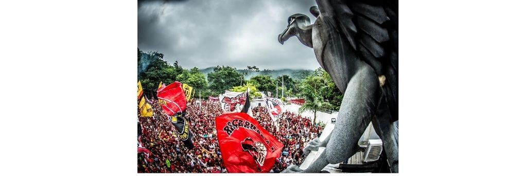 Tetra Liberta ❤️🖤 banner