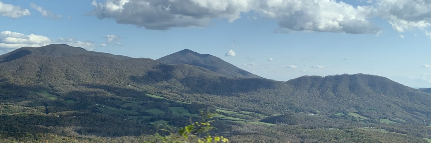 Tania banner