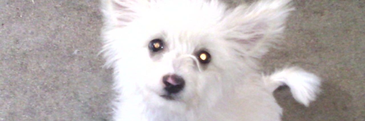 JatziryMoreno2's profile banner image