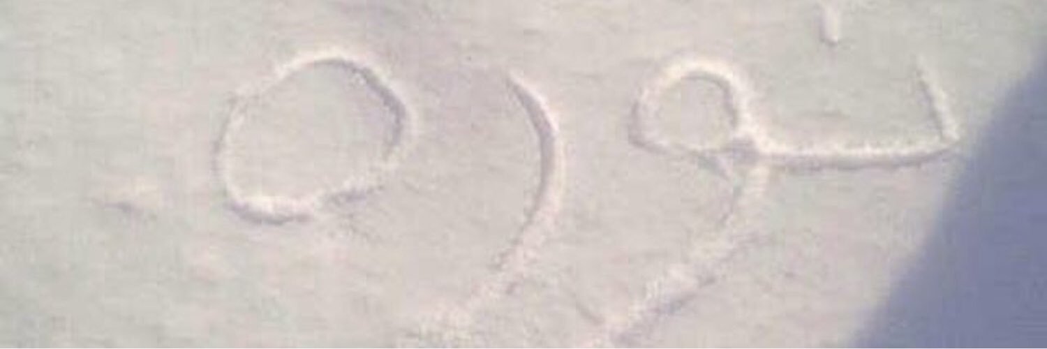 225_norah's profile banner image