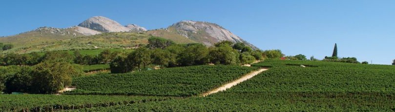 Paarl Rotary Club banner