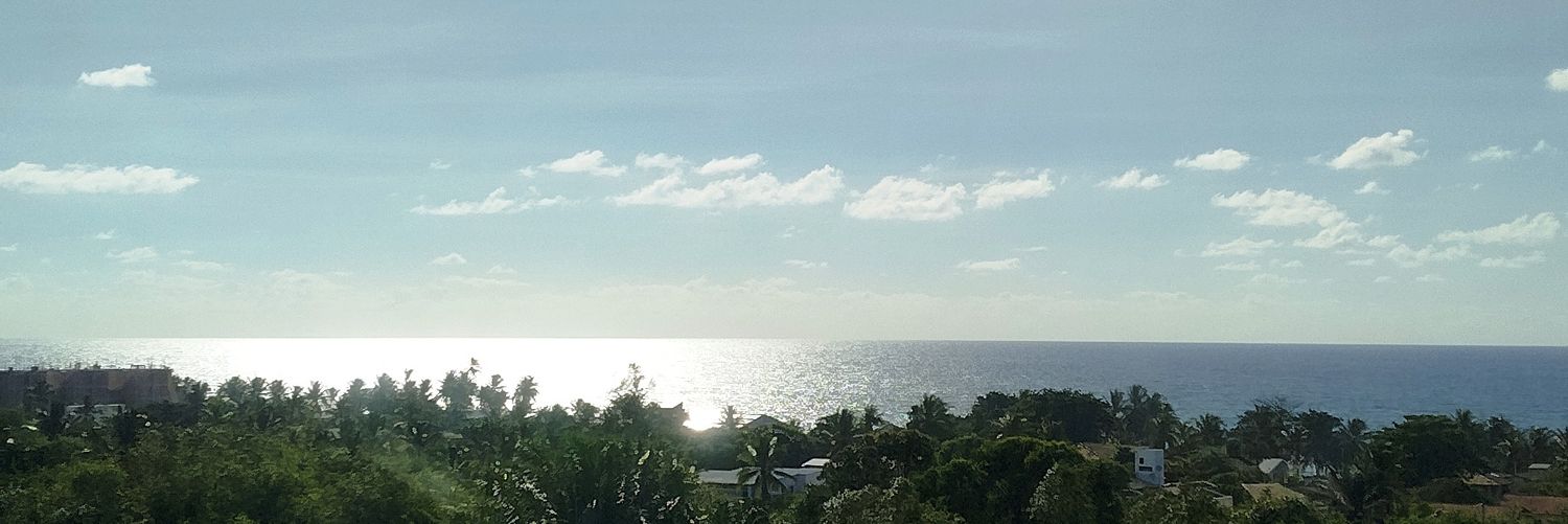 Divanopapo😌 banner