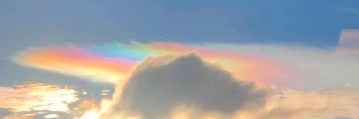 MichelleBotor's profile banner image