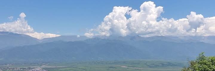 Antonella banner