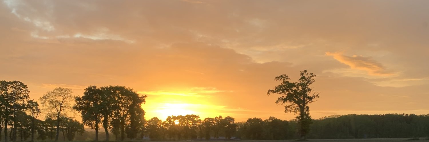 Charlottelrhr's profile banner image