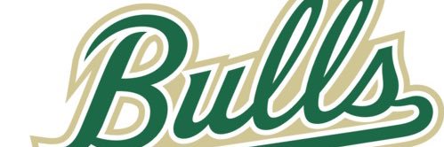 Bulls Baseball Camps banner