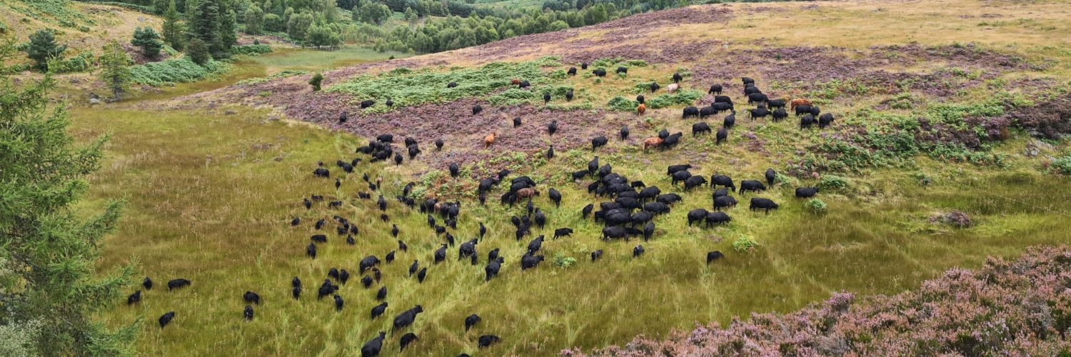 Powered Pasture banner