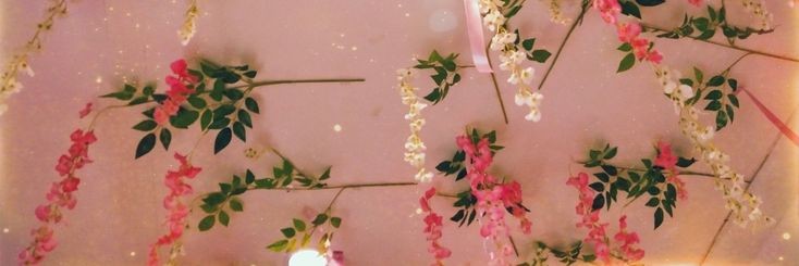 mariaauc13's profile banner image