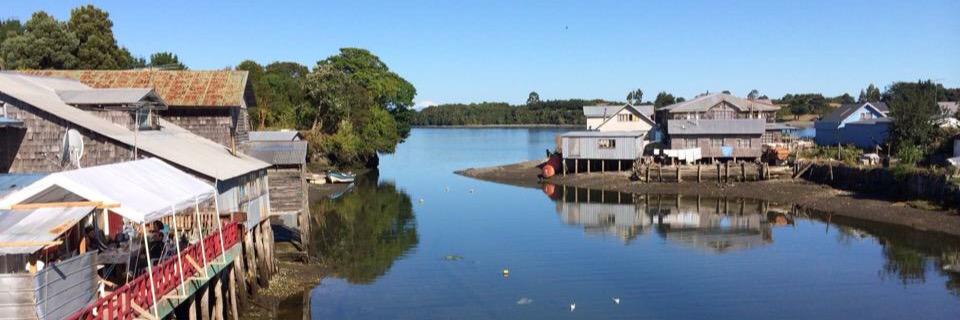carmenchiloe's profile banner image
