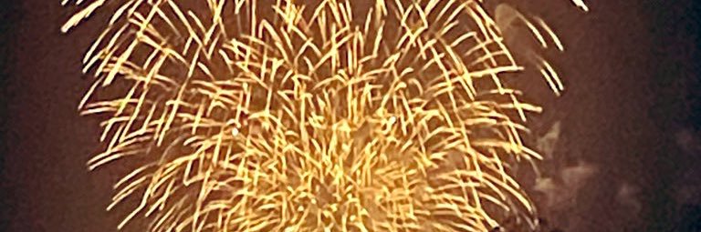 sou banner