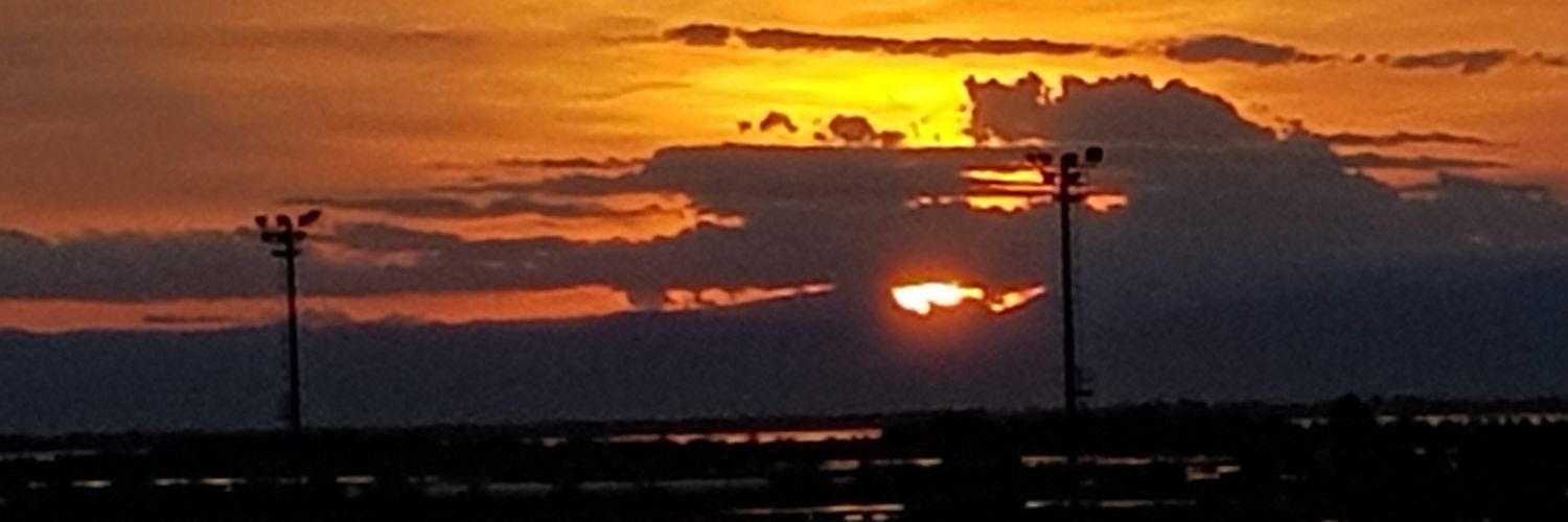 Cristina Miró banner