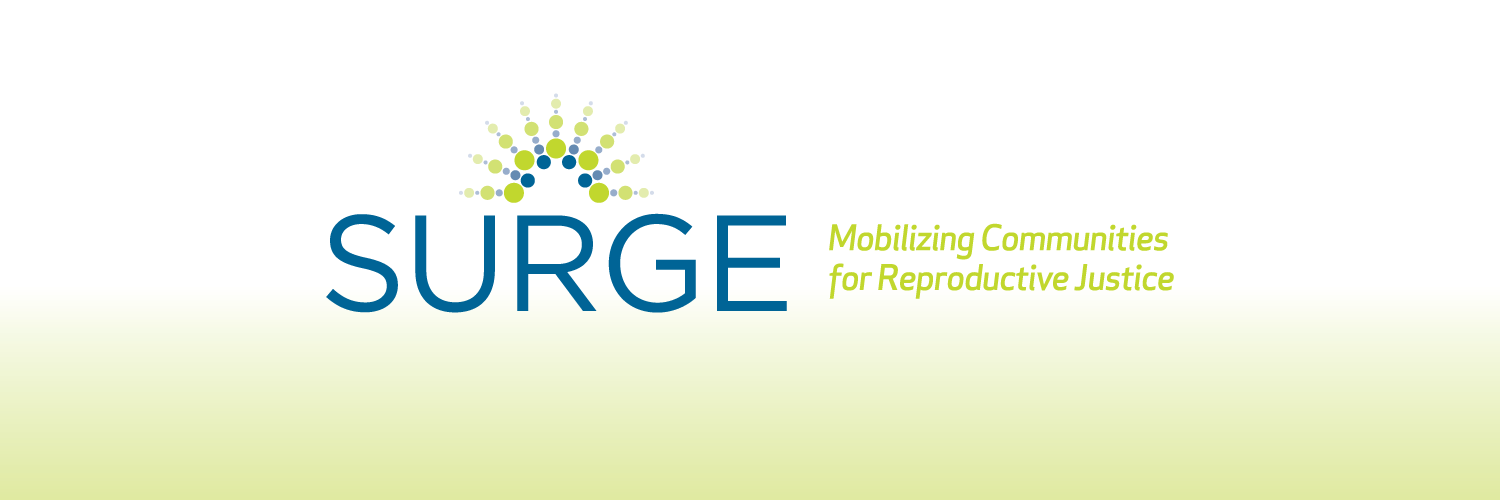 Surge4RJ's profile banner image
