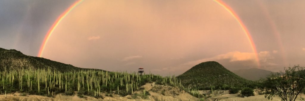 ElsaPriego's profile banner image