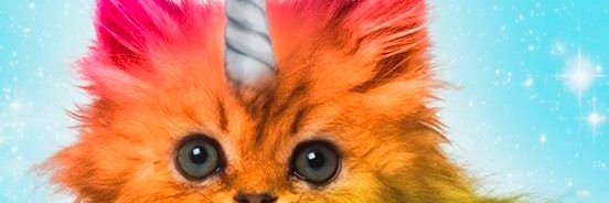 bLaneJenna3's profile banner image