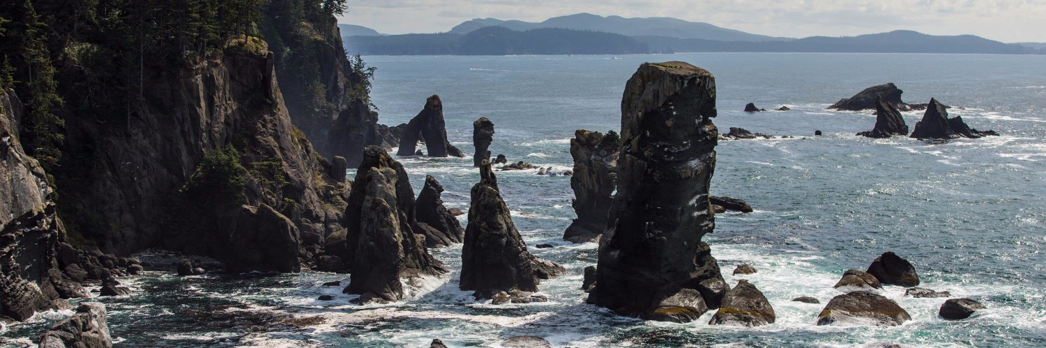 WingsOverWashington banner