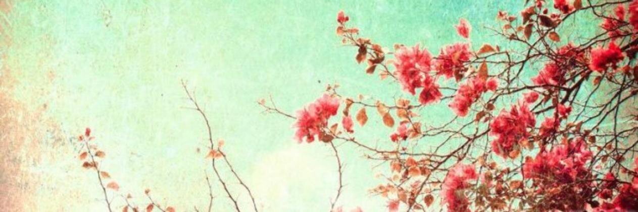 EverySingleSong's profile banner image