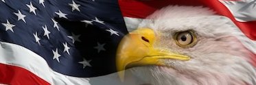 DmtaylorMark's profile banner image