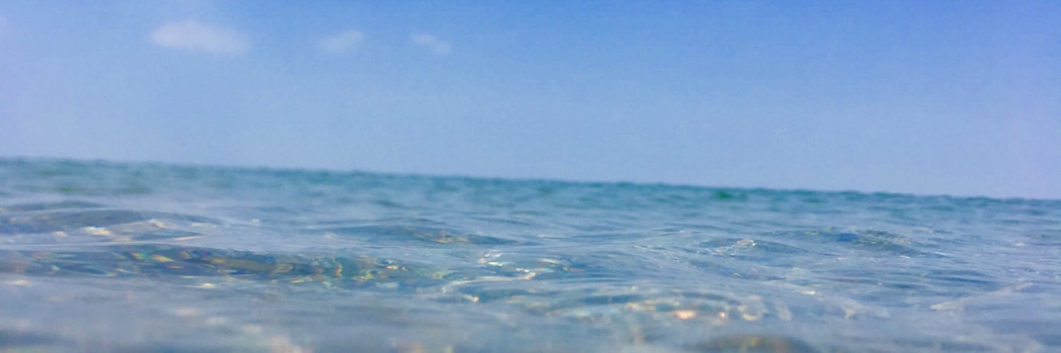 lexi 🌞 banner
