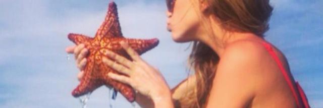 Lisa_VanBrouwer's profile banner image