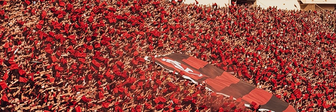 rfornellas's profile banner image