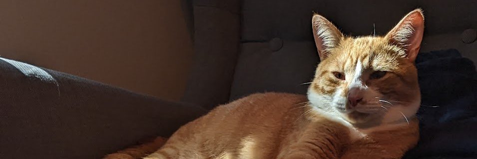 Beenie banner
