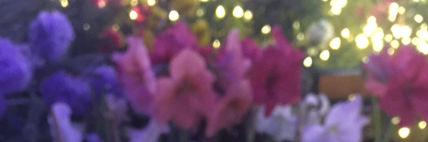 lauralfish's profile banner image