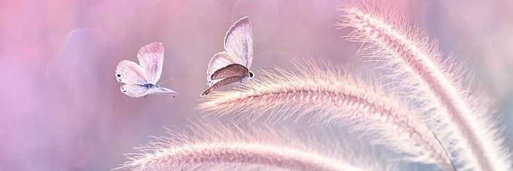TweenieStyle's profile banner image