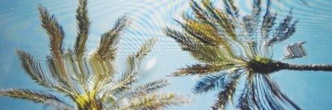 sebas_sanchezss's profile banner image