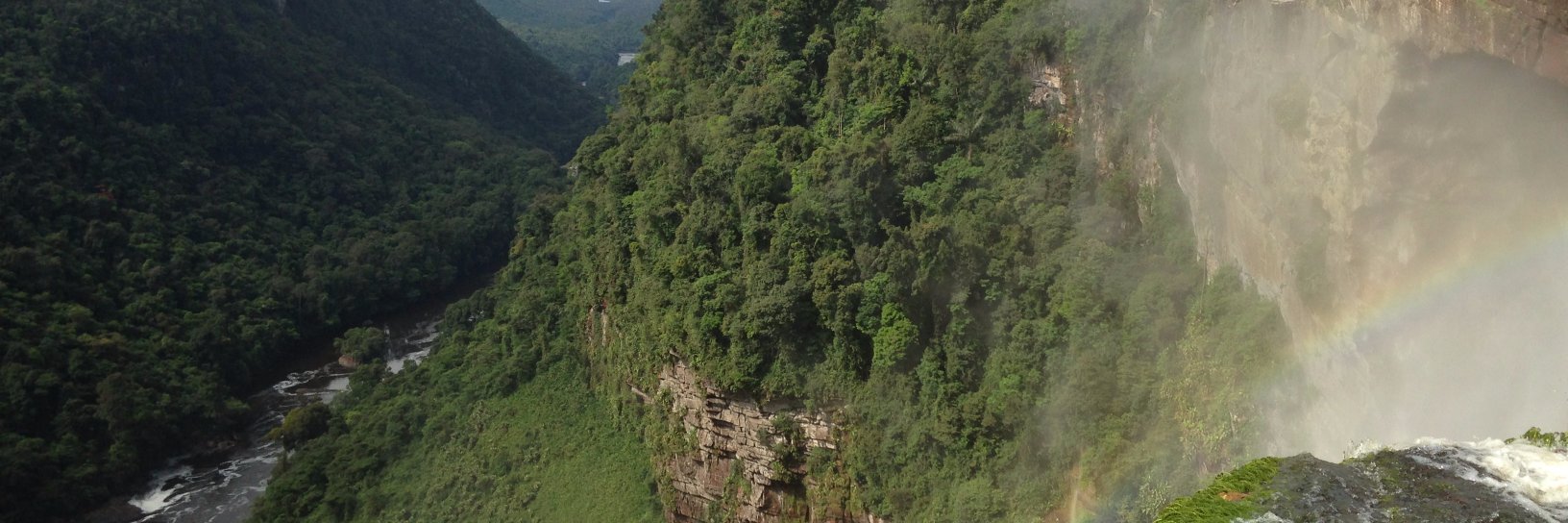 Lisa Holt-Taylor banner