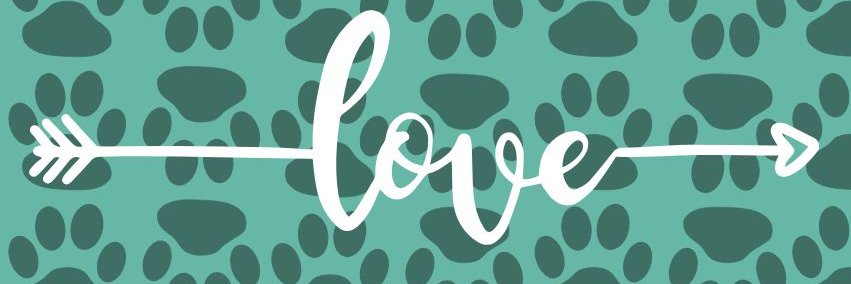 ♐♀️ banner