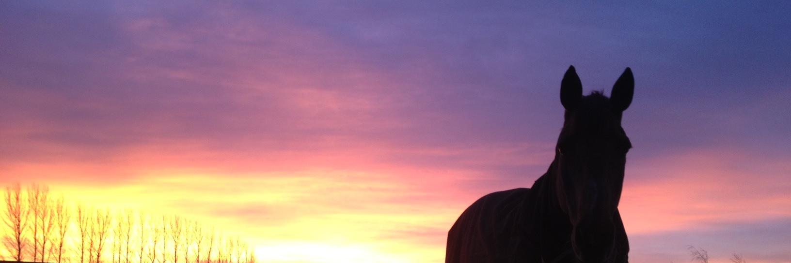 The_GPC's profile banner image