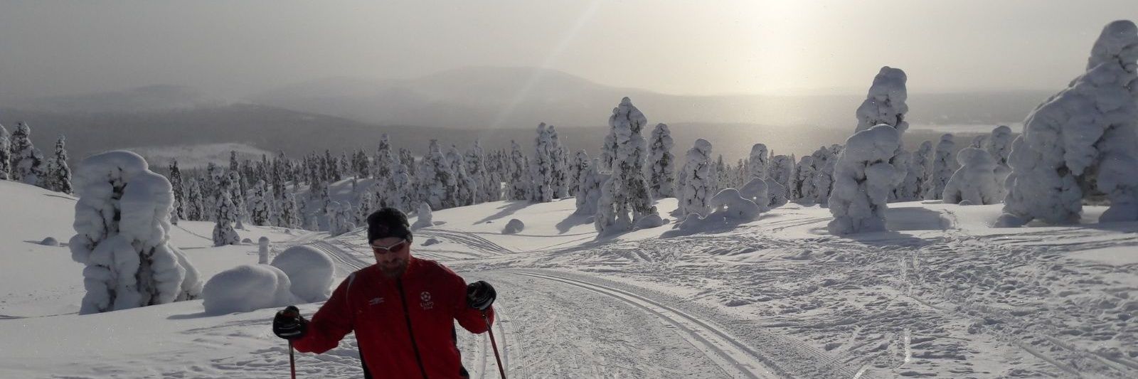 Lauri Vuori's banner