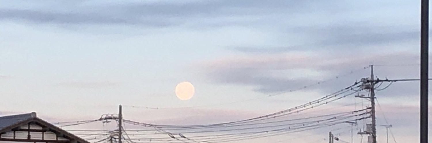 ぬいü/ Moin! banner