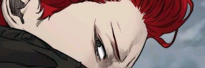V. banner