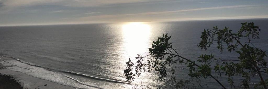 Carla García Zendejas banner