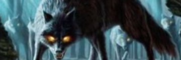 umGC_'s profile banner image