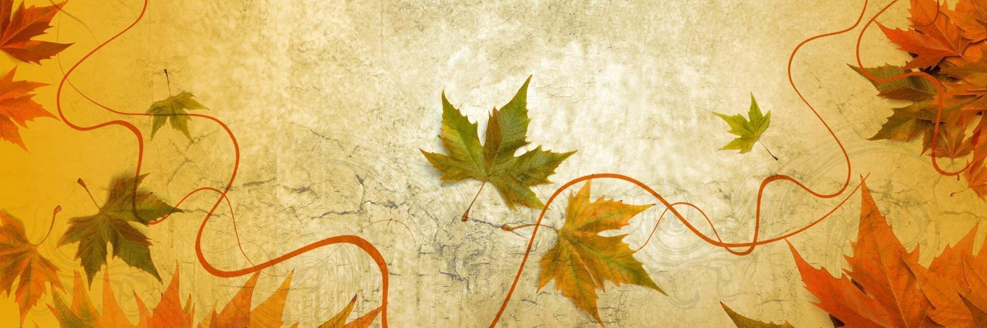 Ceres_psi's profile banner image