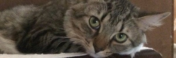 cparham65 Profile Banner