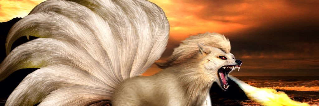 NineTails_2937's profile banner image
