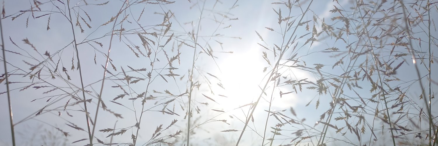 fannydaa's profile banner image