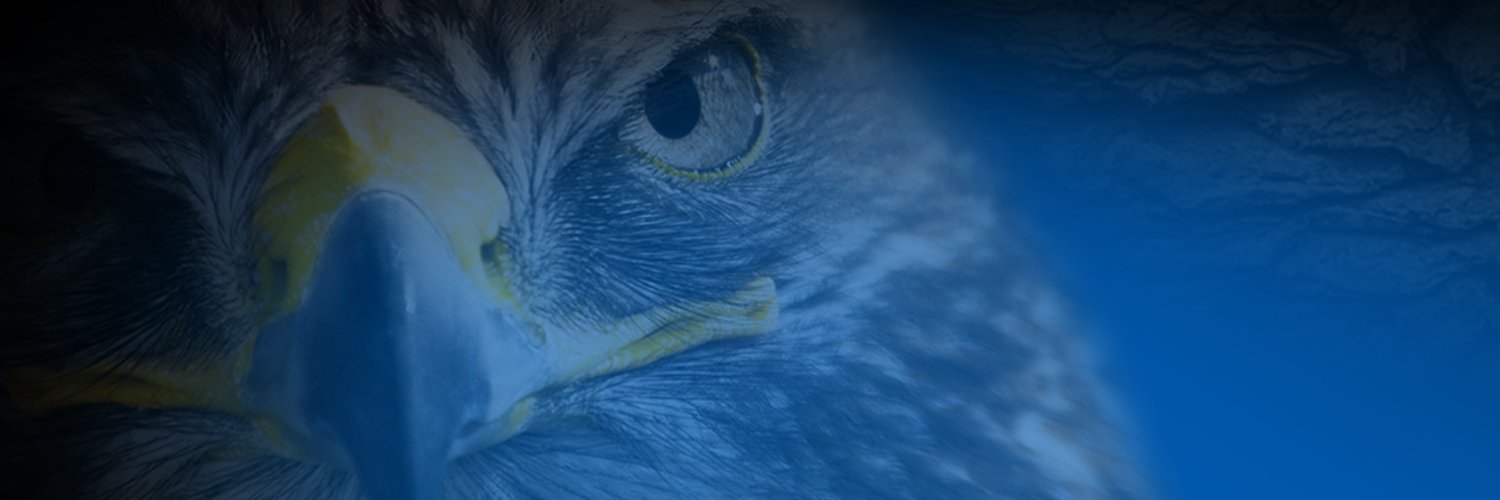 TheFoleyFalcon's profile banner image
