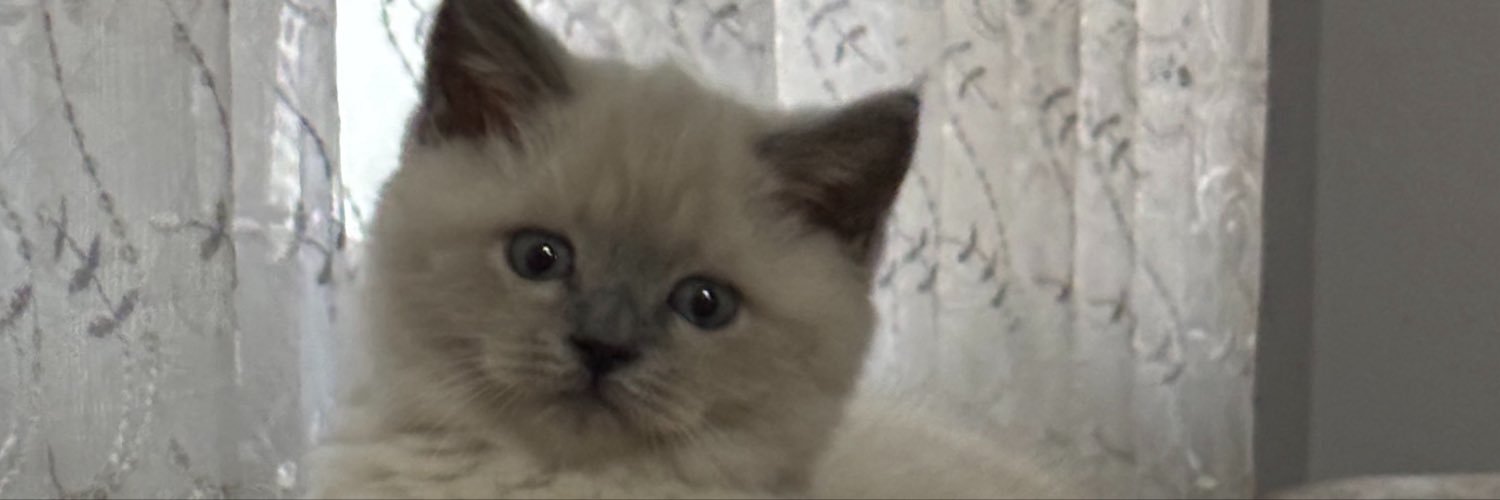 Semih62905398's profile banner image