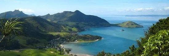 Rebecca Goodwin banner