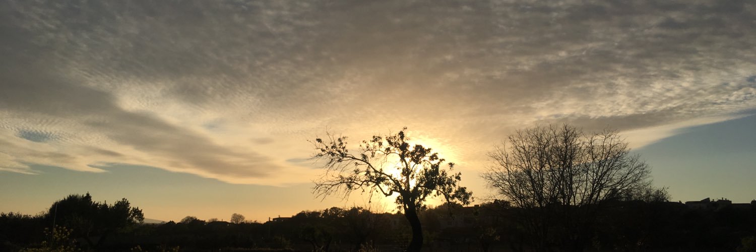 Dayanittaa2's profile banner image