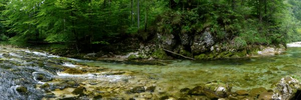 ECoENet Profile Banner